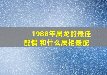 1988年属龙的最佳配偶 和什么属相最配